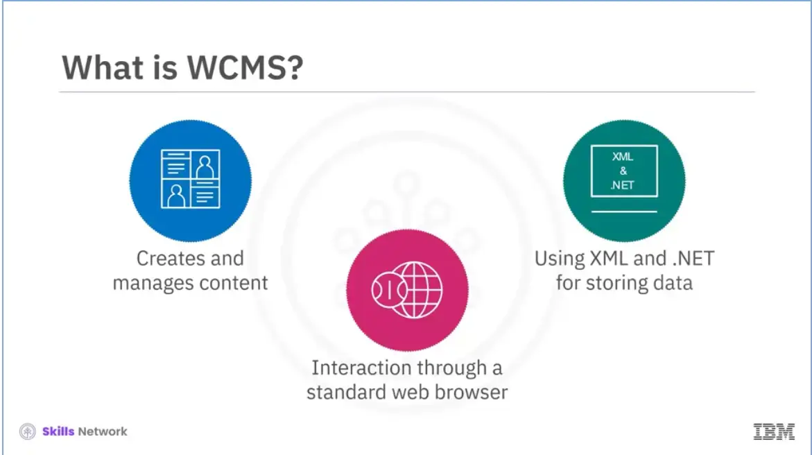 What is WCMS - Web Content Management System?