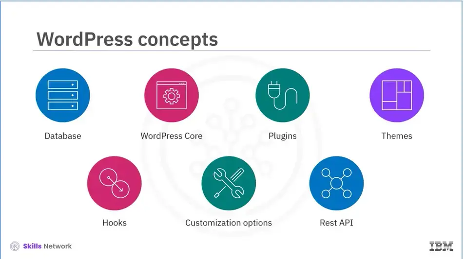 WordPress concepts: database, core, plugins, hooks, customization updates and 
    rest API.