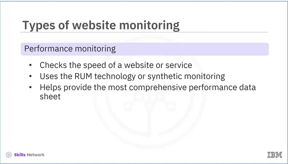 Second type of website monitoring: Performance monitoring.